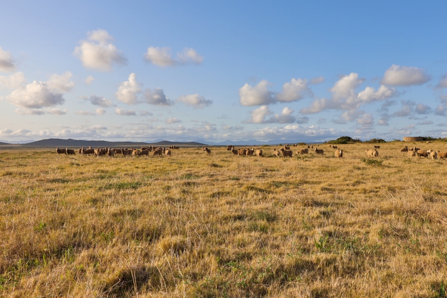 4 Bedroom Property for Sale in Mossel Bay Rural Western Cape